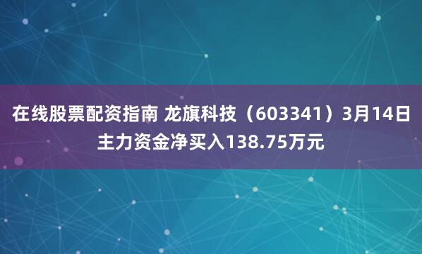 在线股票配资指南 龙旗科技（603341）3月14日主力资金净买入138.75万元