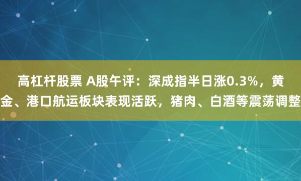 高杠杆股票 A股午评：深成指半日涨0.3%，黄金、港口航运板块表现活跃，猪肉、白酒等震荡调整