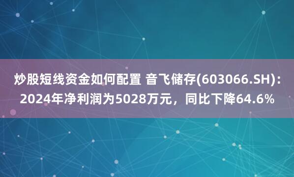 炒股短线资金如何配置 音飞储存(603066.SH)：2024年净利润为5028万元，同比下降64.6%