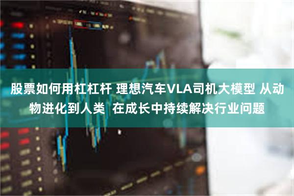 股票如何用杠杠杆 理想汽车VLA司机大模型 从动物进化到人类  在成长中持续解决行业问题