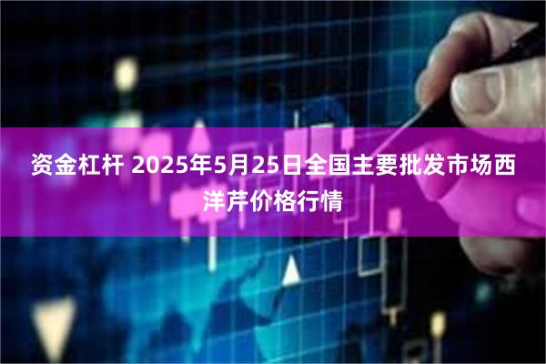 资金杠杆 2025年5月25日全国主要批发市场西洋芹价格行情